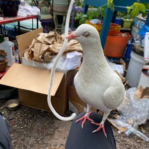 Meet your Posher, Kathryn